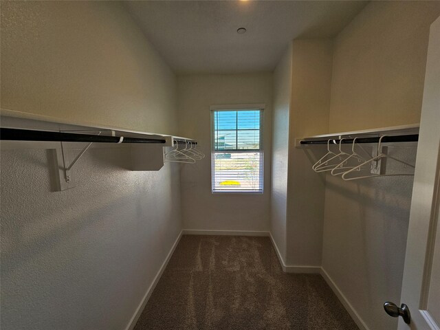 1836 Summer Aura, Mesquite, TX 75181 - spacious closet featuring carpet flooring