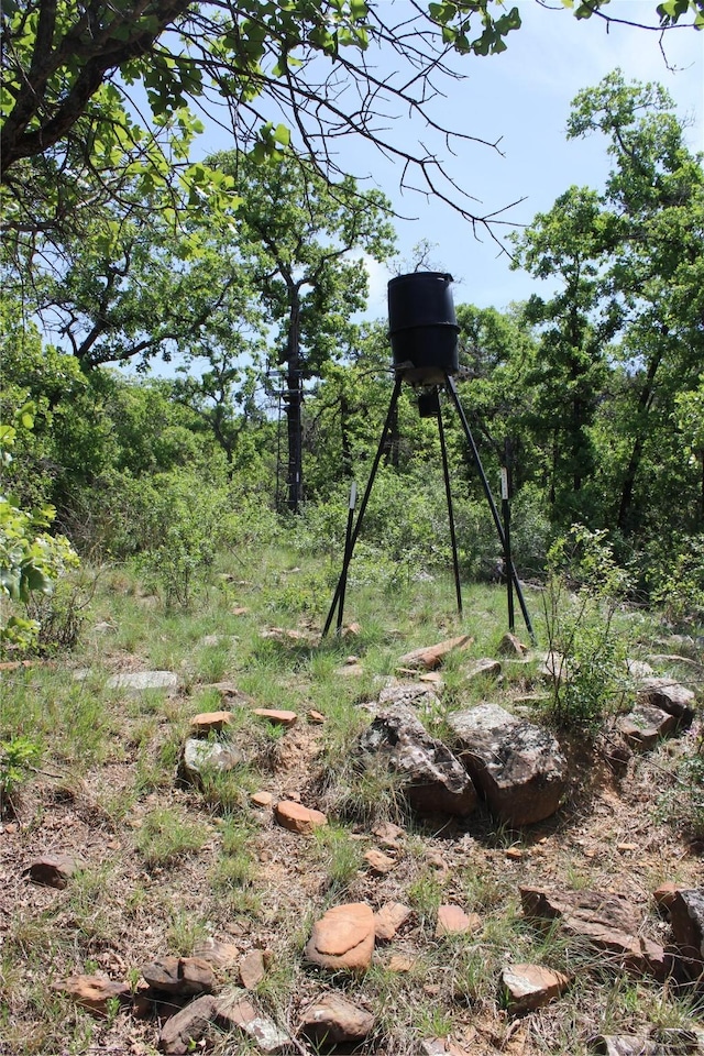 1650 County Road 119, Gordon, TX 76453