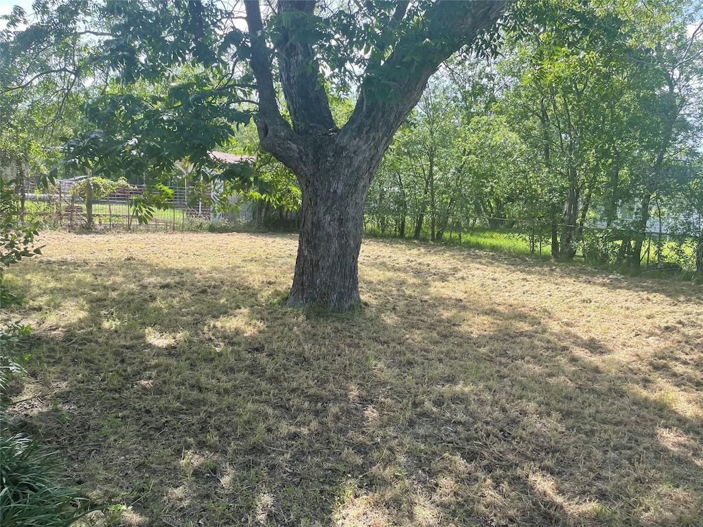 3530 Bluebird St, Bellmead, TX 76705 - view of yard