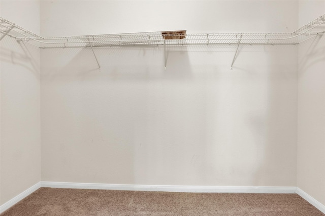 1303 Clegg St, Howe, TX 75459 - walk in closet with light carpet
