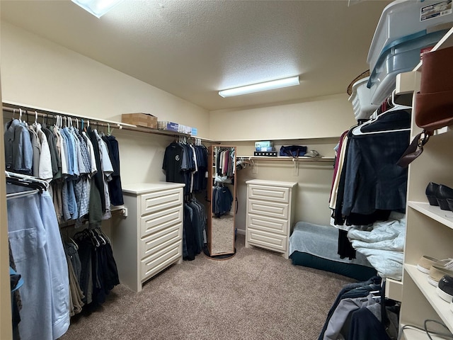 321 Bear Country Dr, Aledo, TX 76008 - walk in closet featuring carpet flooring