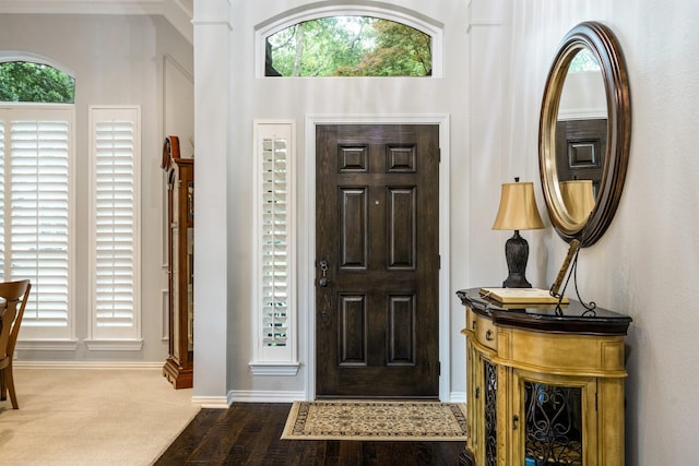 6717 Alcove Ln, Plano, TX 75024 - entrance foyer featuring healthy amount of natural light