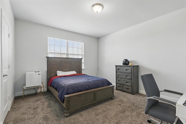 14825 Complacent Way, Aledo, TX 76008 - carpeted bedroom with baseboards