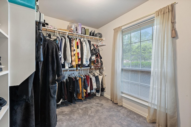 300 Burtonwood Cir, Ovilla, TX 75154 - spacious closet featuring carpet