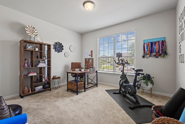 1021 Adelyn St, Anna, TX 75409 - exercise room with carpet and baseboards