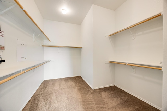 2133 Blakely Ct, Fort Worth, TX 76134 - spacious closet featuring carpet flooring