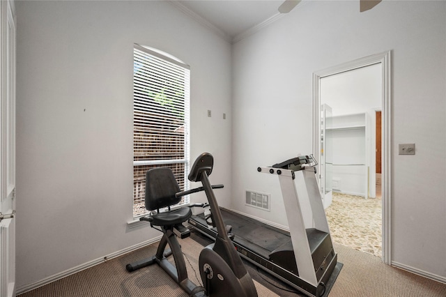 1524 Eastwick Ln, Plano, TX 75093 - exercise room featuring ornamental molding, carpet, and baseboards