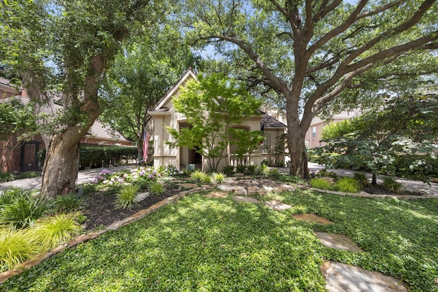 1524 Eastwick Ln, Plano, TX 75093 - view of yard
