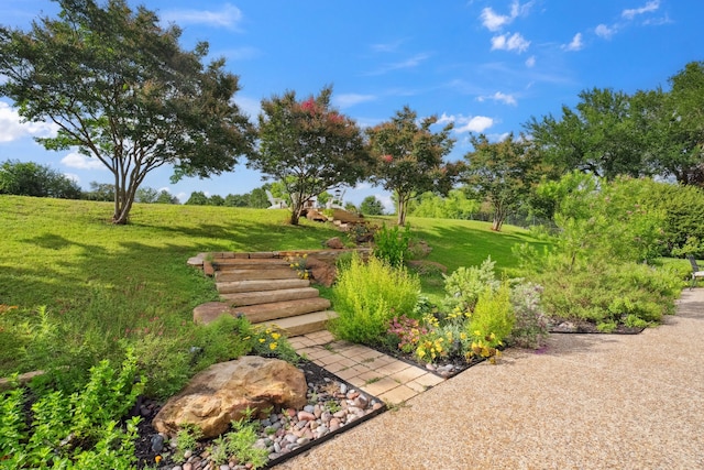 508 Moraine Way, Heath, TX 75032 - view of green lawn