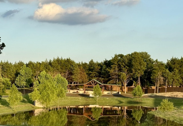 7431 Bald Cypress Dr, Ovilla, TX 75154 - view of property's community featuring a water view and a forest view