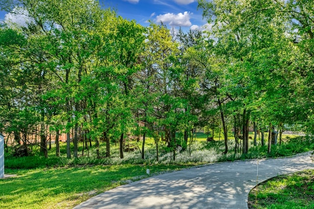 5100 Swisher Rd, Denton, TX 76208 - view of property's community