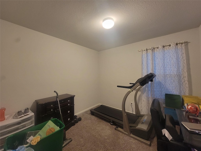 3400 Quiet Valley Rd, Fort Worth, TX 76123 - workout area with carpet flooring