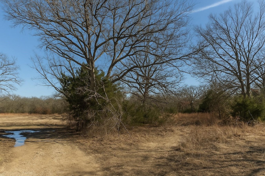 000 Evelyn St, Hawk Cove, TX 75474