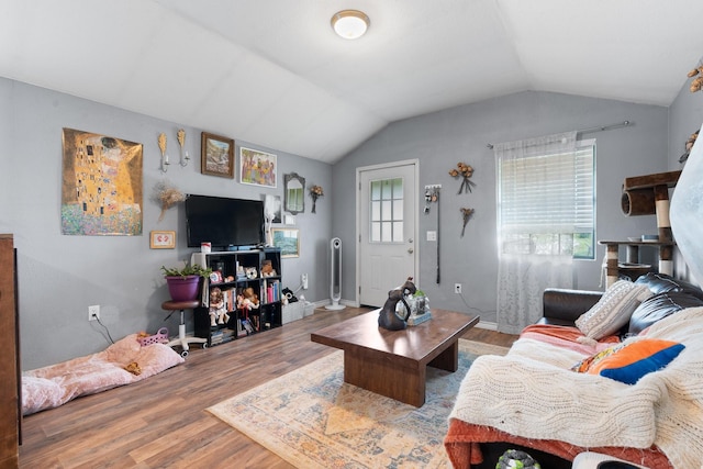 2600 Dave Angel Rd, Burleson, TX 76028 - living room featuring wood finished floors and lofted ceiling