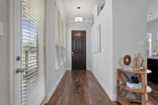 2451 S Gate Dr, Richardson, TX 75080 - entryway featuring crown molding, dark wood-type flooring, and baseboards