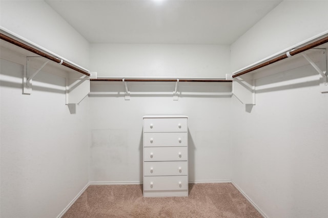 3113 Harper St, Little Elm, TX 75068 - walk in closet with carpet flooring