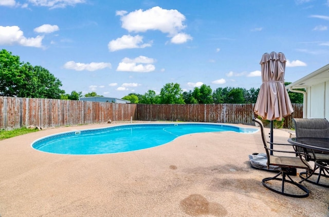 6650 Pine Mill Rd, Reno, TX 75462 - view of swimming pool with a patio area and a fenced backyard