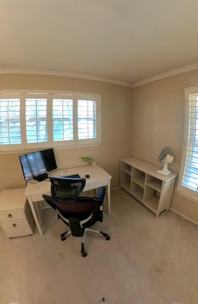 5805 Azteca Dr, Fort Worth, TX 76112 - office area with ornamental molding, carpet floors, and baseboards