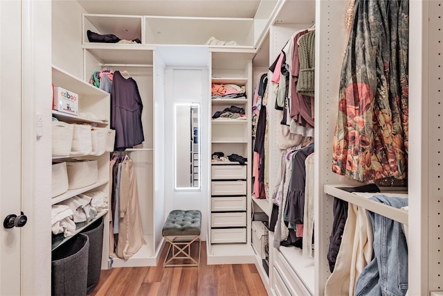 4300 Round Valley Ln, Fort Worth, TX 76262 - walk in closet featuring wood finished floors
