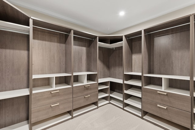 10328 Countess Dr, Dallas, TX 75229 - view of walk in closet