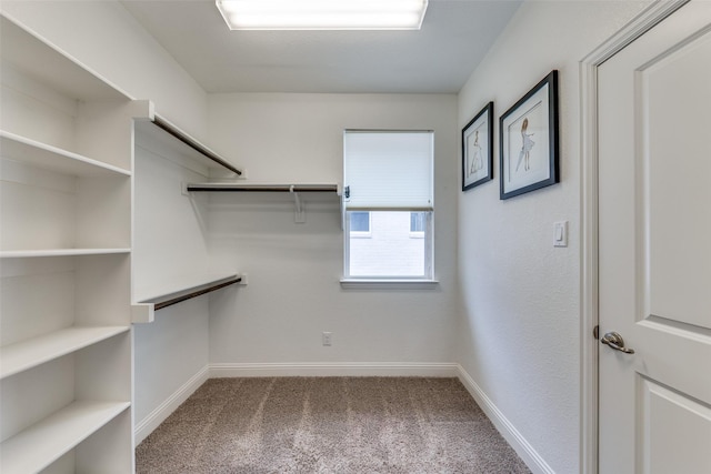 1031 Devonshire Dr, Allen, TX 75013 - spacious closet with carpet flooring