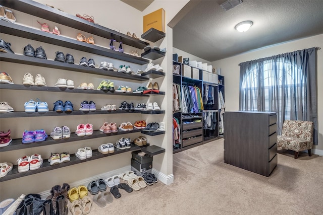 3717 Dutch Iris Ln, Forest Hill, TX 76140 - spacious closet with light colored carpet