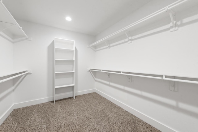 8901 Lowell St, Rowlett, TX 75089 - spacious closet with carpet floors