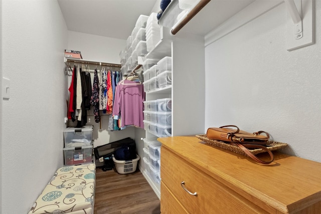 797 Hawthorn St, Princeton, TX 75407 - spacious closet with wood finished floors