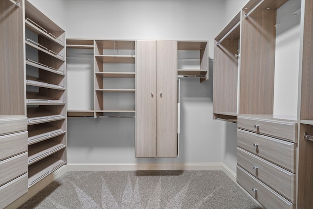 1208 Claire St, Lantana, TX 76226 - walk in closet featuring carpet flooring