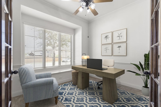 1208 Claire St, Lantana, TX 76226 - home office with ceiling fan, crown molding, carpet flooring, and radiator