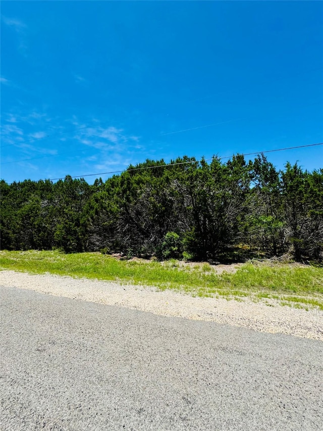 1710 Cedar Ridge Dr, Whitney, TX 76692