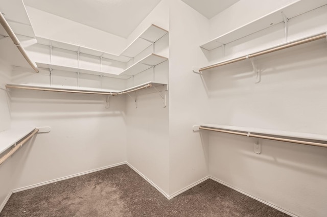 2124 Leonard Ranch Rd, Fort Worth, TX 76134 - walk in closet with dark colored carpet