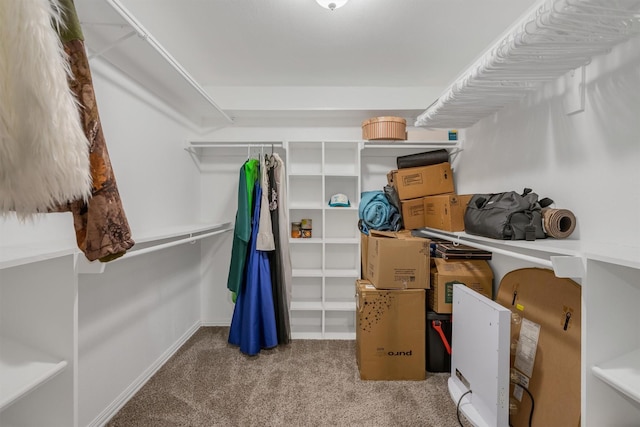203 Olive St, Waxahachie, TX 75165 - spacious closet featuring carpet floors