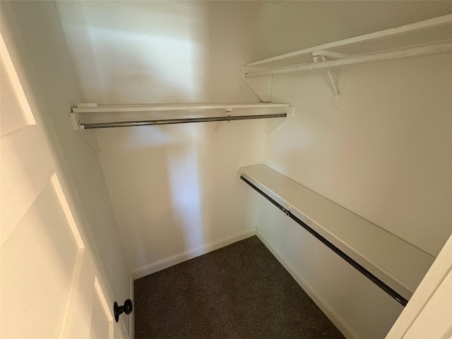 6805 Eagle Rock Dr, Fort Worth, TX 76133 - spacious closet with dark colored carpet