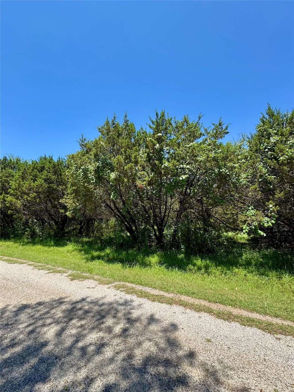 39279 Cedar Park Dr, Whitney, TX 76692
