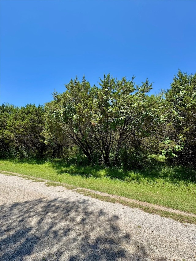 39279 Cedar Park Dr, Whitney, TX 76692