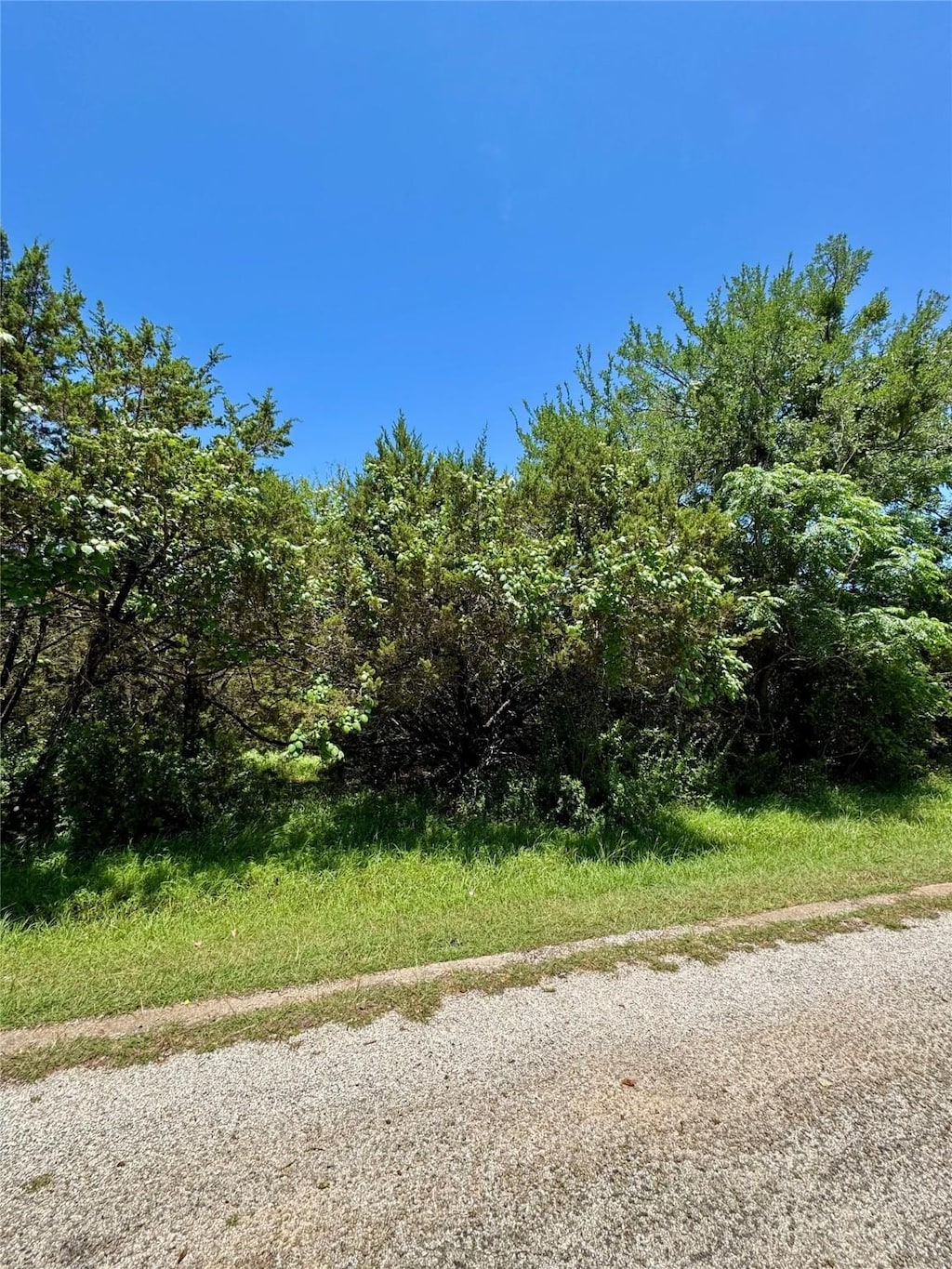 39279 Cedar Park Dr, Whitney, TX 76692