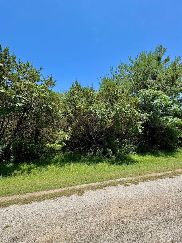 39279 Cedar Park Dr, Whitney, TX 76692