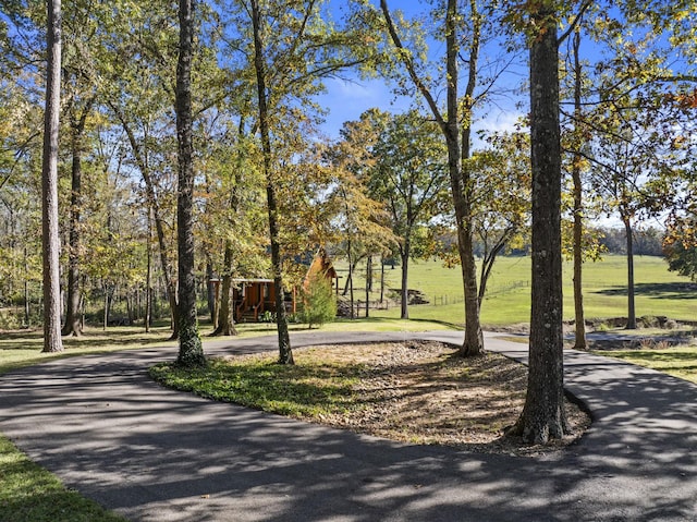 1057 Silver Lake Cir, Mount Pleasant, TX 75455 - view of property's community featuring curved driveway