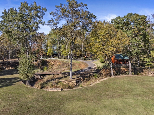 1057 Silver Lake Cir, Mount Pleasant, TX 75455 - view of green lawn with view of scattered trees