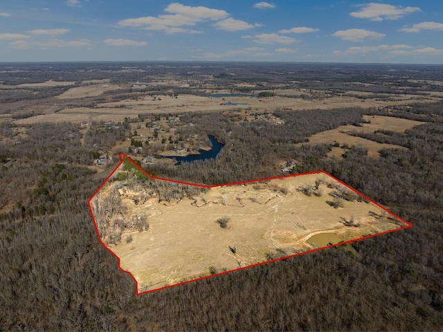 1057 Silver Lake Cir, Mount Pleasant, TX 75455 - aerial view of sparsely populated area with property parcel outlined