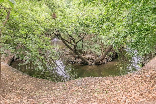 4851 Cedar Springs Rd Unit 175, Dallas, TX 75219 - view of undeveloped land