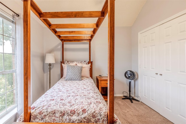 4406 Westcreek Ln, Sachse, TX 75048 - carpeted bedroom with multiple windows and a closet
