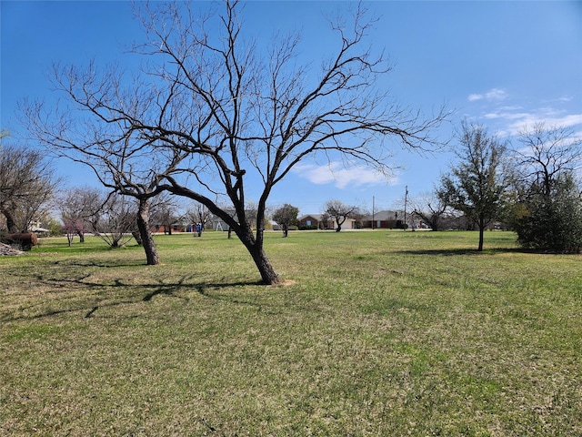 LOTS76 Lakeshore Dr, Runaway Bay, TX 76426