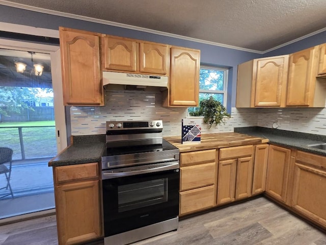 106 Mcanally Dr, Mabank, TX 75147 - kitchen featuring electric range, under cabinet range hood, ornamental molding, light wood-type flooring, and decorative backsplash
