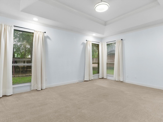 9120 Timber Oaks Dr, Fort Worth, TX 76179 - unfurnished room with ornamental molding, light colored carpet, a raised ceiling, healthy amount of natural light, and recessed lighting