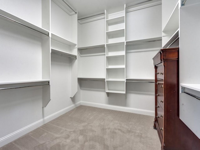 8542 Gerbera Daisy Rd, Frisco, TX 75035 - walk in closet featuring carpet