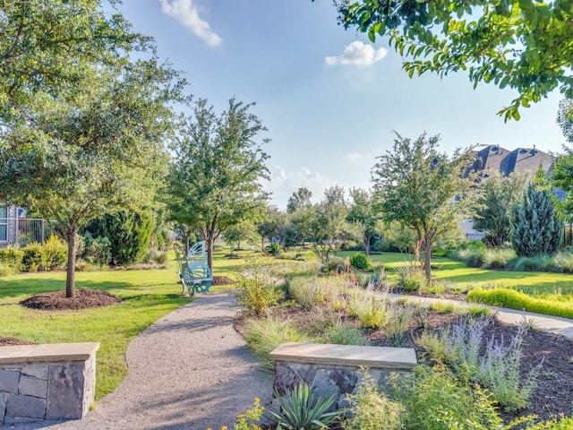 8542 Gerbera Daisy Rd, Frisco, TX 75035 - surrounding community featuring a lawn