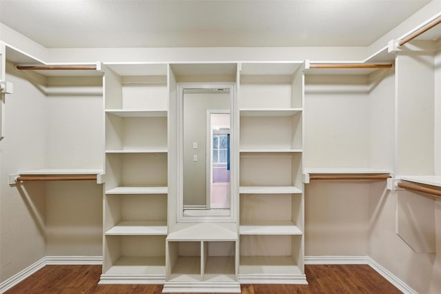 8109 County Road 804, Burleson, TX 76028 - walk in closet with wood finished floors