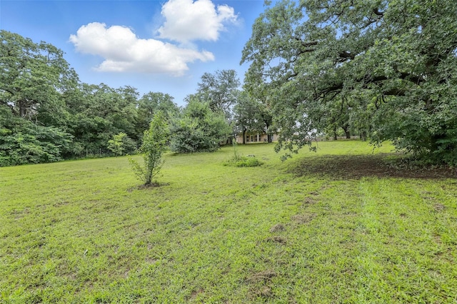 8109 County Road 804, Burleson, TX 76028 - view of grassy yard